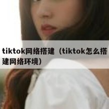 tiktok网络搭建（tiktok怎么搭建网络环境）