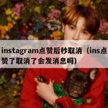 instagram点赞后秒取消（ins点赞了取消了会发消息吗）