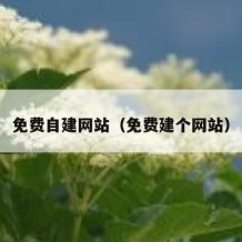 免费自建网站（免费建个网站）