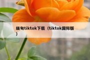 缅甸tiktok下载（tiktok国际版）