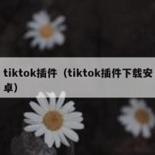 tiktok插件（tiktok插件下载安卓）