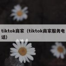 tiktok商家（tiktok商家服务电话）