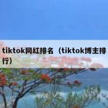 tiktok网红排名（tiktok博主排行）