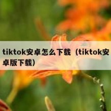 tiktok安卓怎么下载（tiktok安卓版下载）