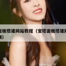 宝塔面板搭建网站教程（宝塔面板搭建网站教程视频）