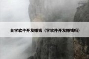 自学软件开发赚钱（学软件开发赚钱吗）