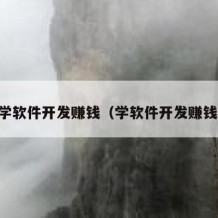 自学软件开发赚钱（学软件开发赚钱吗）