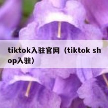 tiktok入驻官网（tiktok shop入驻）