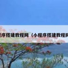 小程序搭建教程网（小程序搭建教程网站）