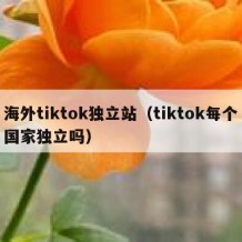 海外tiktok独立站（tiktok每个国家独立吗）