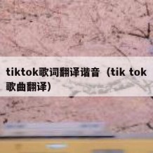 tiktok歌词翻译谐音（tik tok歌曲翻译）