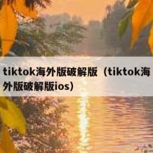 tiktok海外版破解版（tiktok海外版破解版ios）