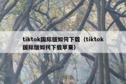 tiktok国际版如何下载（tiktok国际版如何下载苹果）