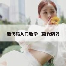 敲代码入门教学（敲代码?）