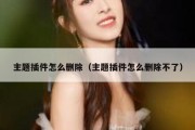 主题插件怎么删除（主题插件怎么删除不了）