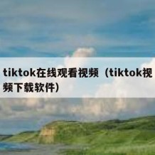 tiktok在线观看视频（tiktok视频下载软件）