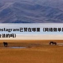 instagram已赞在哪里（网络做单是合法的吗）