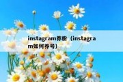 instagram养粉（instagram如何养号）