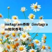 instagram养粉（instagram如何养号）