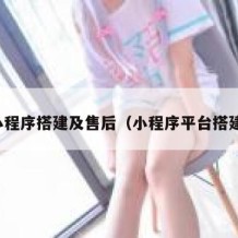小程序搭建及售后（小程序平台搭建）