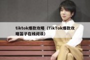 tiktok爆款攻略（TikTok爆款攻略笛子在线阅读）