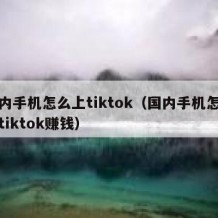 国内手机怎么上tiktok（国内手机怎么上tiktok赚钱）