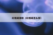 红楼阁涨粉（红楼阁怎么样）