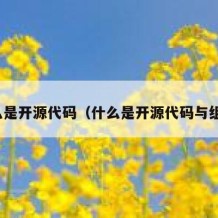 什么是开源代码（什么是开源代码与组件）