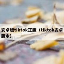 安卓版tiktok正版（tiktok安卓版本）