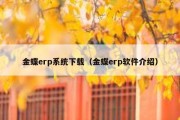 金蝶erp系统下载（金蝶erp软件介绍）