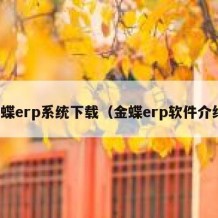 金蝶erp系统下载（金蝶erp软件介绍）