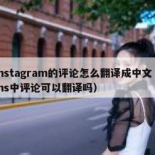 instagram的评论怎么翻译成中文（ins中评论可以翻译吗）