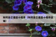 如何自己建造小程序（如何自己建造小程序店铺）