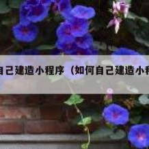 如何自己建造小程序（如何自己建造小程序店铺）