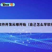 自学软件开发从哪开始（自己怎么学软件开发）