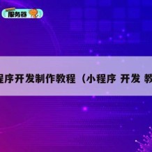 小程序开发制作教程（小程序 开发 教程）