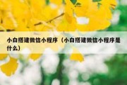 小白搭建微信小程序（小白搭建微信小程序是什么）