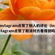 instagram点赞了别人的评论（instagram点赞了取消对方看得到吗）