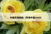 中国开源网站（开源中国2020）