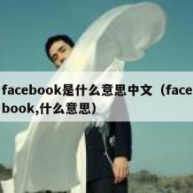 facebook是什么意思中文（facebook,什么意思）