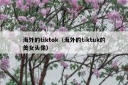 海外的tiktok（海外的tiktuk的美女头像）