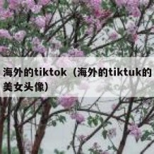 海外的tiktok（海外的tiktuk的美女头像）