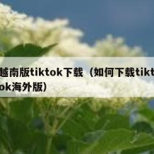 越南版tiktok下载（如何下载tiktok海外版）