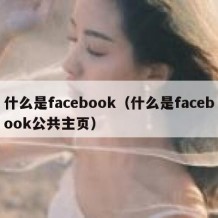 什么是facebook（什么是facebook公共主页）