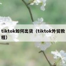 tiktok如何出货（tiktok外贸教程）