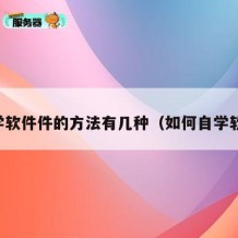 自学软件件的方法有几种（如何自学软件）