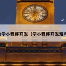 自学小程序开发（学小程序开发难吗）