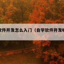 自学软件开发怎么入门（自学软件开发哪些书籍）