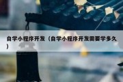 自学小程序开发（自学小程序开发需要学多久）