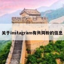 关于instagram有共同粉的信息